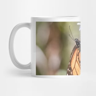 Monarchs of Mexico V Mug